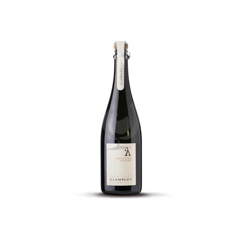 A. LAMBLOT Intuition Brut Nature A. LAMBLOT Intuition Brut Nature