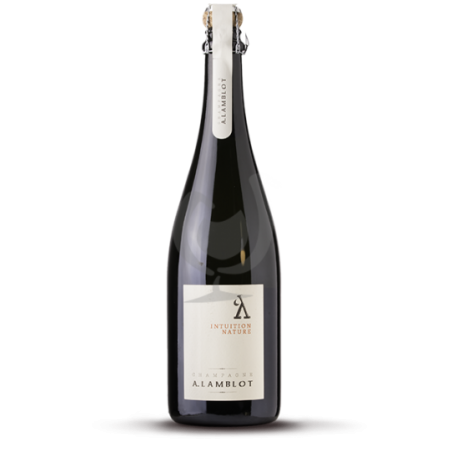 A. LAMBLOT Intuition Brut Nature